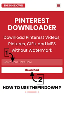 Pinterest Downloader