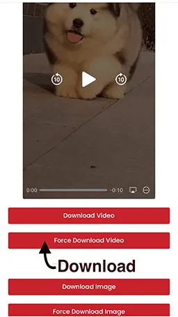 Pinterest video download